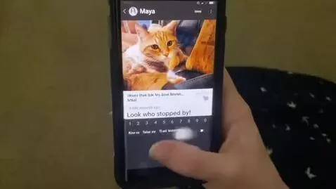 AI Video from prompt: Increase breast size by a large amount