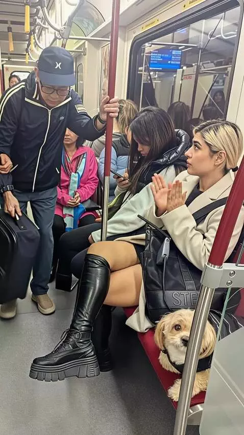 AI Video from prompt: The old man in the cap puts his hands on the flo