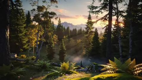 AI Video from prompt: Sunset in the forest