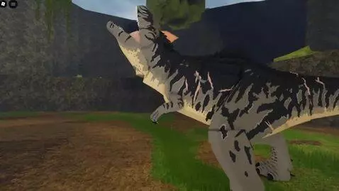 Sora 2 video