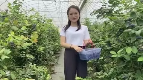 AI Video from prompt: make her pregnant and shake her belly