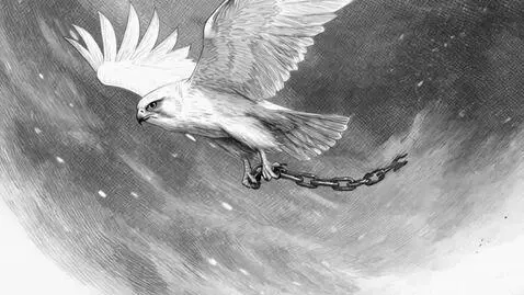 AI Video from prompt: Bird is flying, numb is falling down