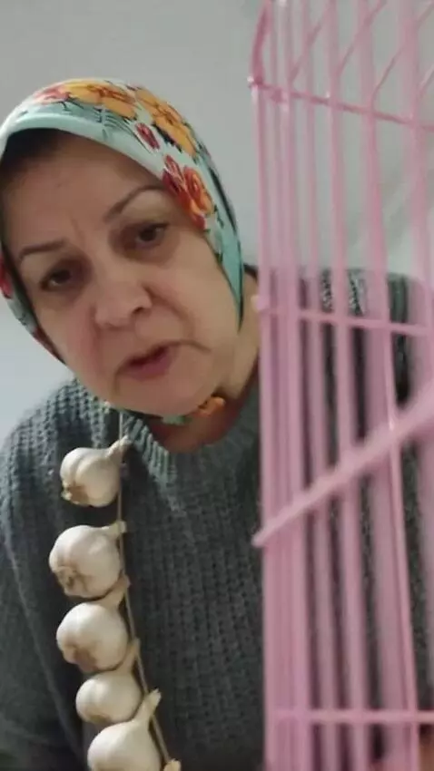 AI Video from prompt: These two parrots are told to go to the police, 