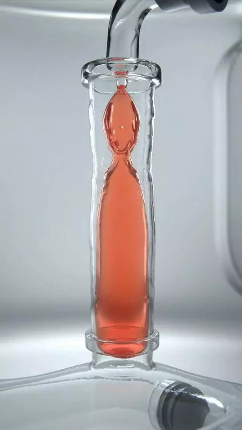 AI Video from prompt: Realistic 3D medical textbook rendering. A flexi