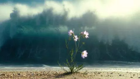 AI Video from prompt: A cinematic ultra-realistic 5-second shot. Stati