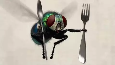 AI Video from prompt: A giant fly flies up to the man with a spoon and