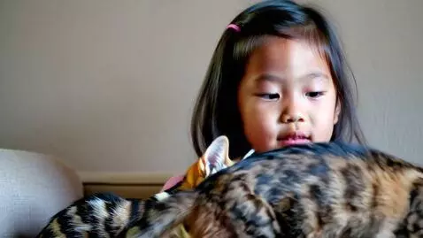 AI Video from prompt: 👙 girl with the cats
