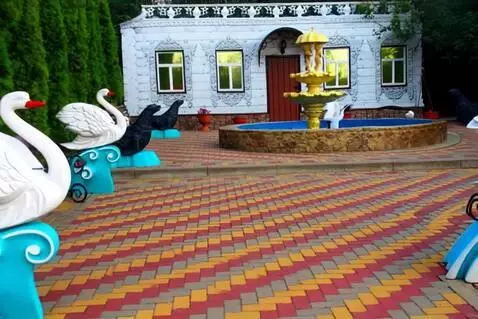 AI Video from prompt: лебеди пошли гулять