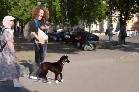 AI Video from prompt: Спасибо за подробный ответ! Вот промпт для видео
