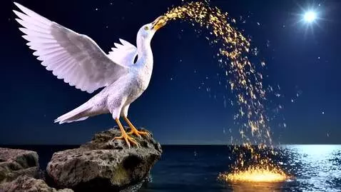 AI Video from prompt: The sea at night. The bird Alkonost (pearl wings