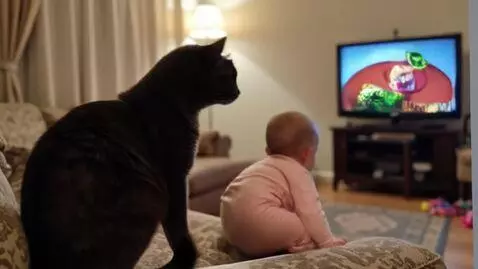 AI Video from prompt: Cat watching cartoon with a baby
