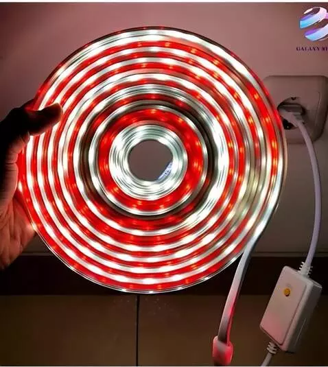 AI Video from prompt: A close-up of a hand holding a glowing spiral LE