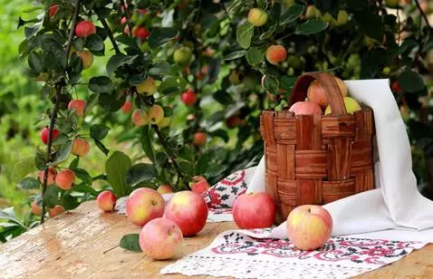 AI Video from prompt: the wind naturally moves the leaves, and the sun