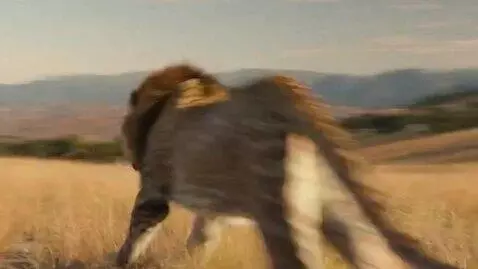 AI Video from prompt: generate an tv spot from this picture leopon are