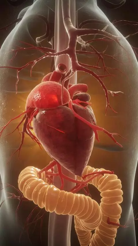 AI Video from prompt: Inside the human body, blood flows freely throug