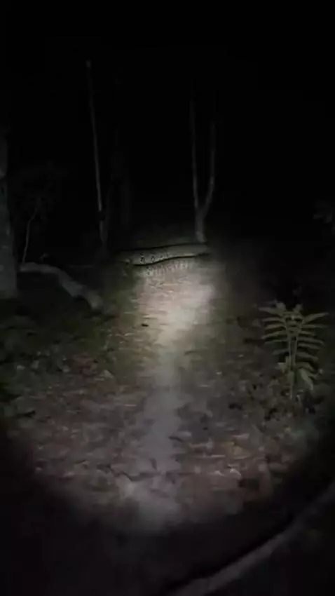 AI Video from prompt: A recording on the POV selfphone, the cameraman 