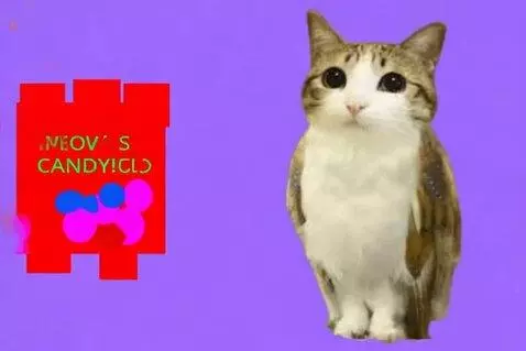 AI Video from prompt: Meowl Eats Sour Candies