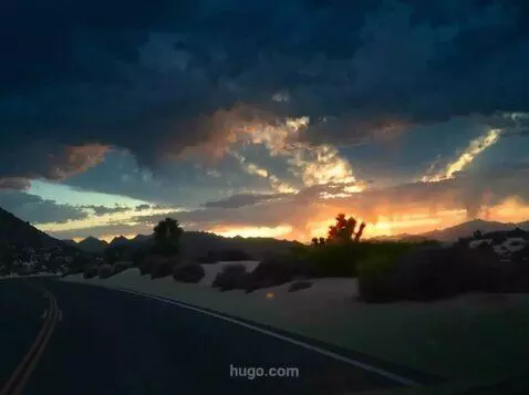 AI Video from prompt: Joshua Tree landscape, the camera is focused on 