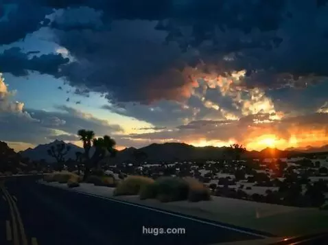 AI Video from prompt: Joshua Tree landscape, the camera is focused on 