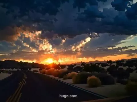 AI Video from prompt: AI Video from prompt: Joshua Tree landscape, the