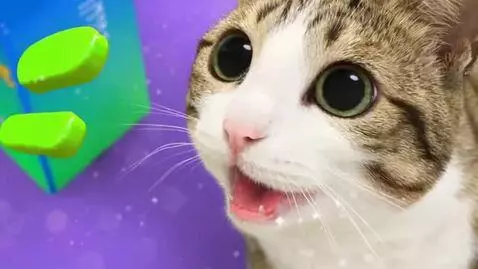 AI Video from prompt: Meowl eats Katwomeal 123 Numbercats 10 the king 