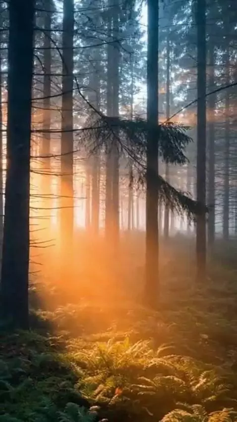 AI Video from prompt: A vertical 9:16 cinematic video clip of a peacef