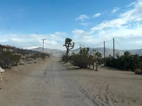 AI Video from prompt: the vehicle moves forward on a Dusty Joshua Tree