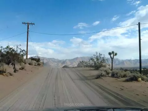 AI Video from prompt: the vehicle moves forward on a Dusty Joshua Tree