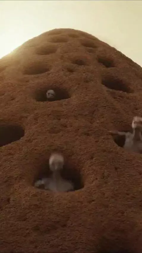 AI Video from prompt: On an alien planet there are enormous mounds lik