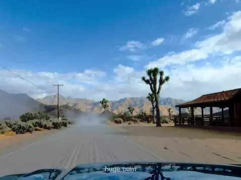 AI Video from prompt: the vehicle moves forward down a dusty Joshua Tr