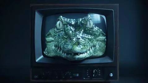 AI Video from prompt: Video close-up of a retro 1980s CRT television s