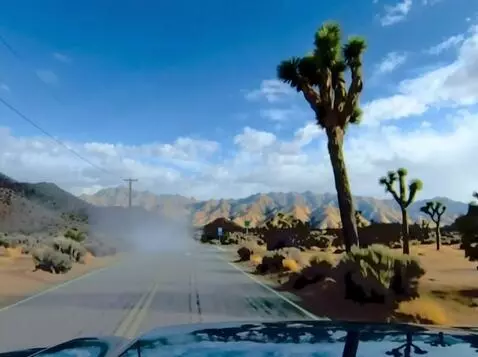 AI Video from prompt: the vehicle moves forward down a dusty Joshua Tr