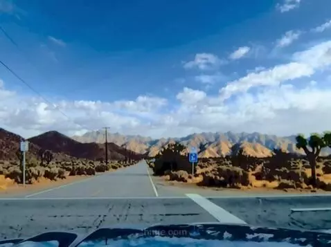 AI Video from prompt: The vehicle stops at the  Joshua Tree T junction