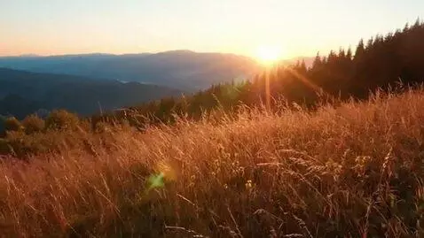 AI Video from prompt: nature beauty sun glow