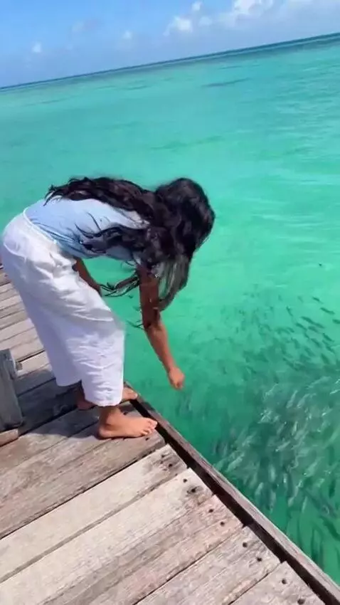 AI Video from prompt: a girl is on the sea with a school of fish