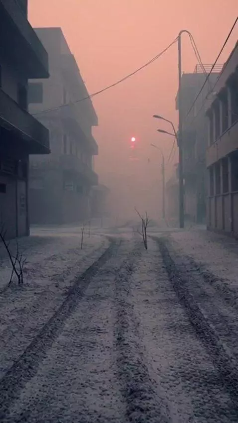AI Video from prompt: the ground is covered with ash. there is a thick