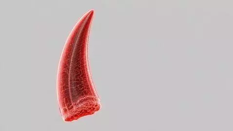 AI Video from prompt: Animate this image of a single glowing red T. re