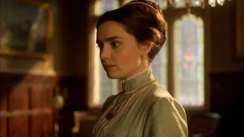 AI Video from prompt: 15-20 seconds long booktrailer for "The Forsyte 