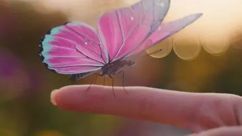 AI Video from prompt: Bướm hồng, vú to, sexy