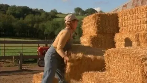 AI Video from prompt: Woman with huge breasts moving hay bails