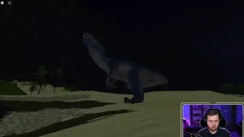 Sora 2 video