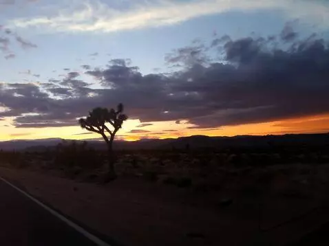 AI Video from prompt: we drive along the Joshua Tree highway at sunset