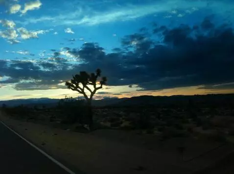 AI Video from prompt: we drive along the Joshua Tree highway at sunset