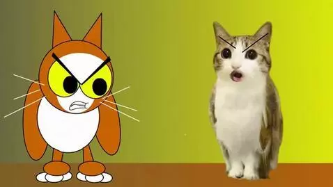 AI Video from prompt: Meowl says 'You're Copycat!' Cat says 'You too!'