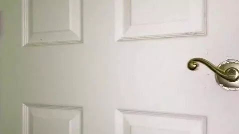 AI Video from prompt: POV:You Opened The Door Revealing a Magical East
