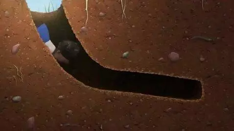 Sora 2 video