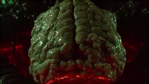 AI Video from prompt: Alien metamorphosizes in a coccoon to a predator