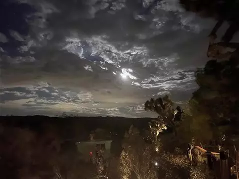 AI Video from prompt: we proceed forwed down the center path