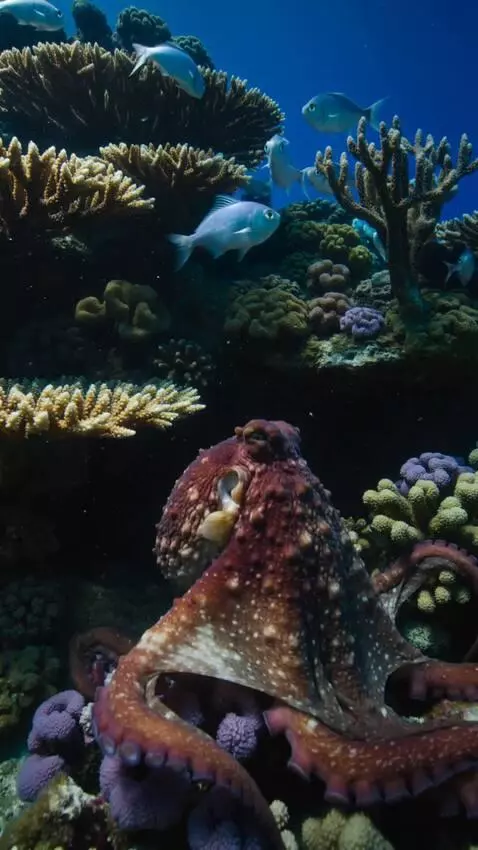 AI Video from prompt: "An ultra-realistic octopus slowly emerging from