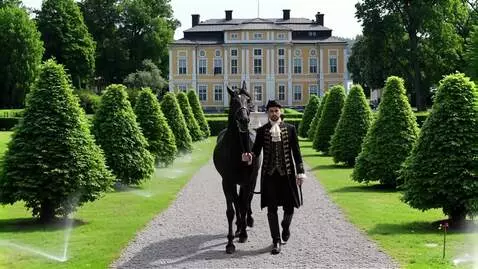 AI Video from prompt: man and horse walk forward, slowly, the horse sh